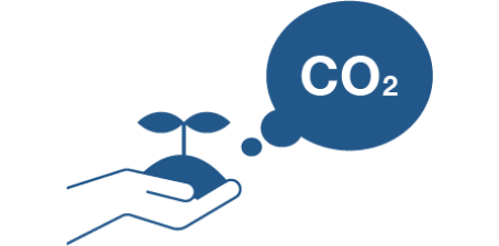 ”グリーン水素”をつくる時に取り出したCO2を利用して、野菜の成長を促します。